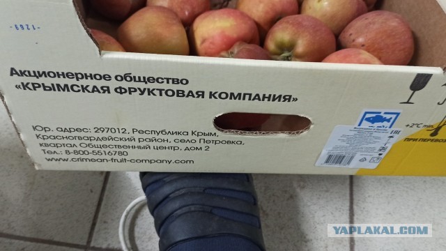 Яблоки. В ФРГ