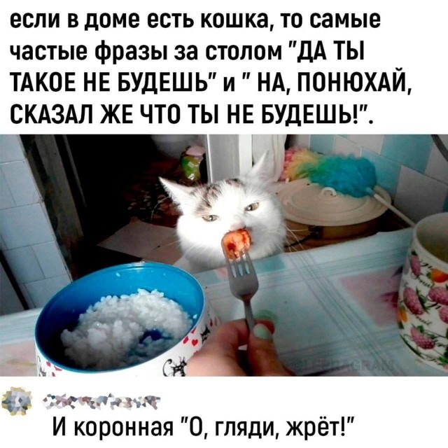 Так себе картинки 04.12.24