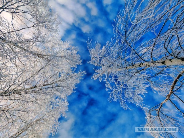 Красивое фото из телефона