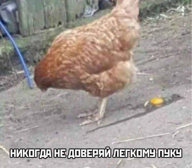 Так себе картинки 18.03.25