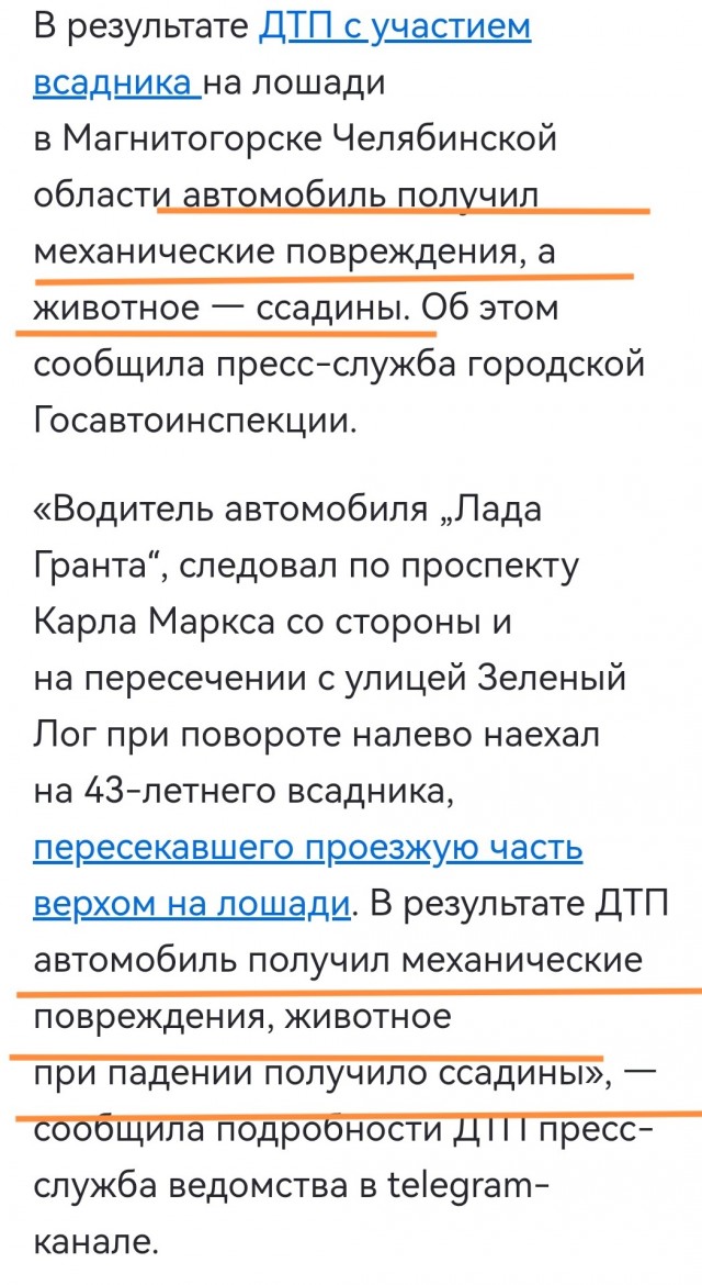 В Магнитогорске всадник на лошади пересекал пешеходный переход