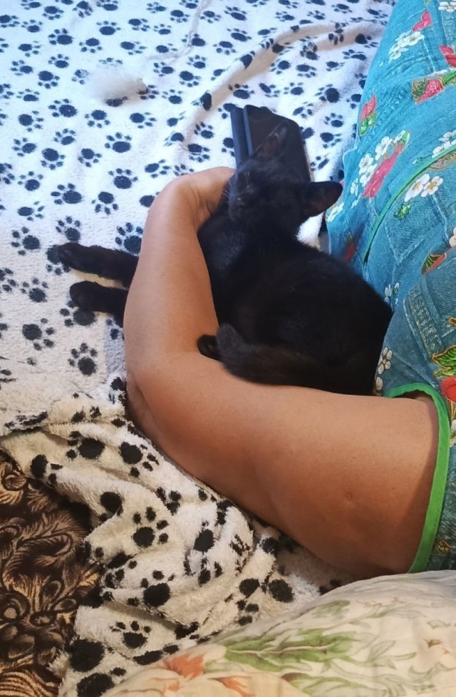 Его первый вторник