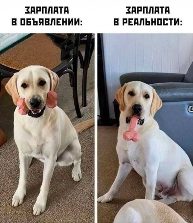 Но ты забыл...