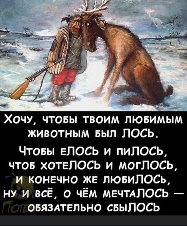 Прикольные и просто красивые картинки 14.11.2025