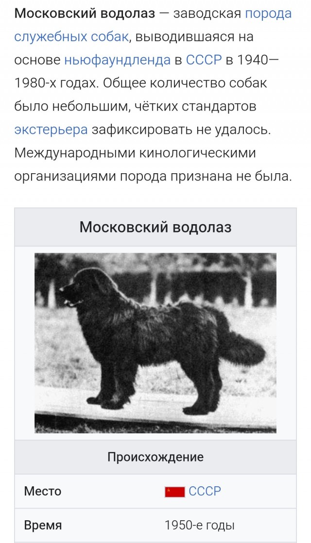 Простест кинолога!