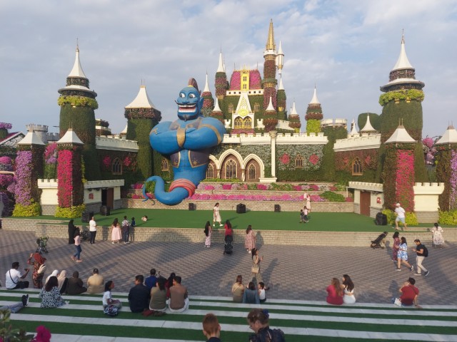 Дубайск в декабре