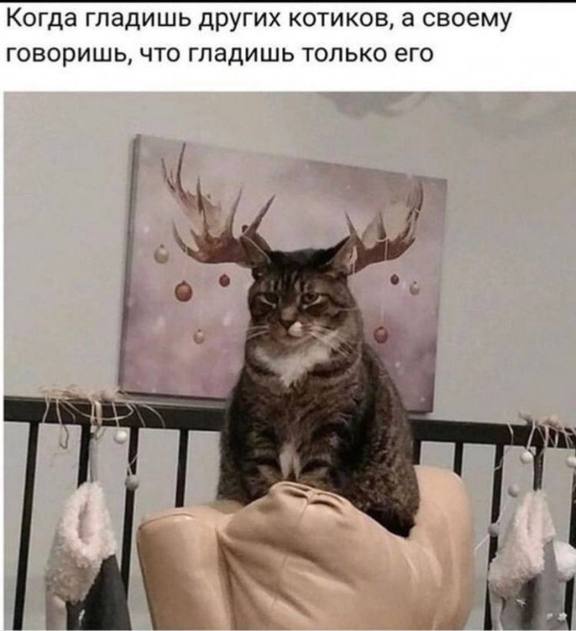 Картинки для деградации 145 (разной степени свежести)
