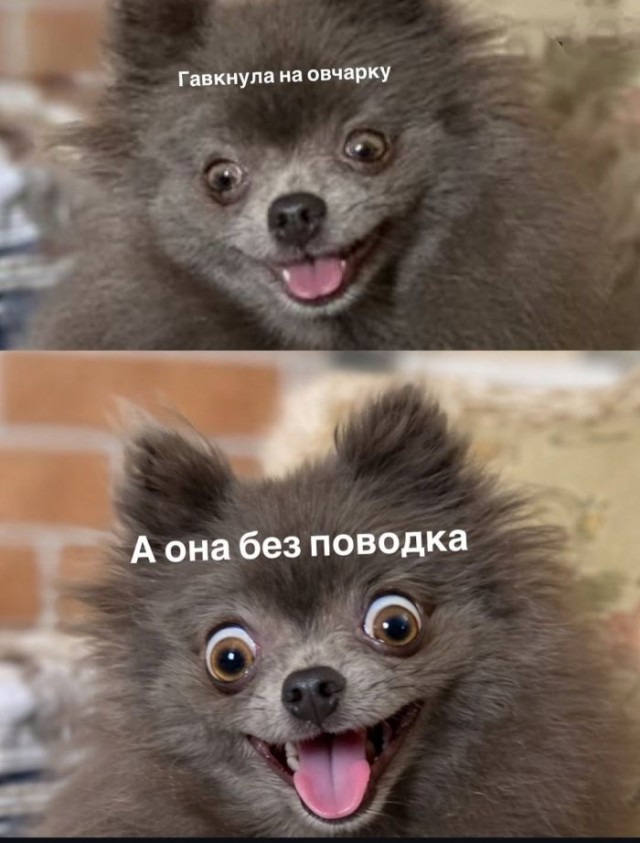 Картинки для деградации 168 (разной степени свежести)