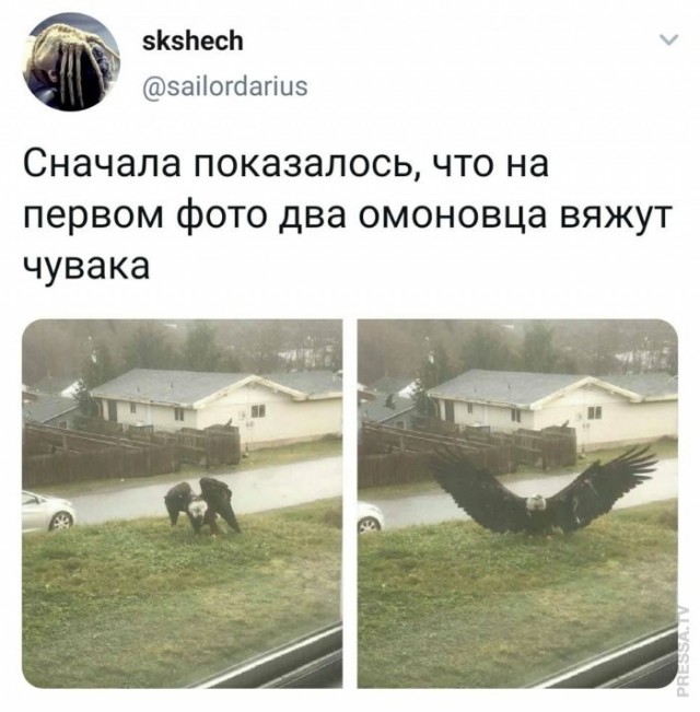 Веселые картинки в понедельник (13.04)