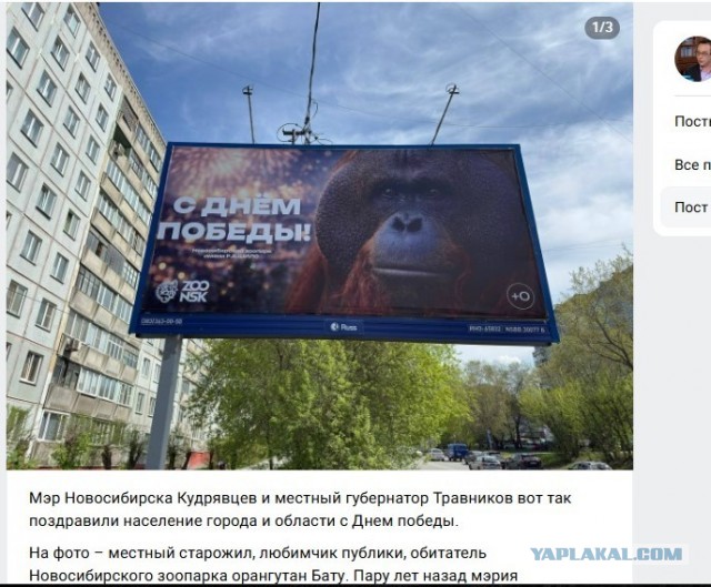 Жителей Новосибирска бомбануло из-за плаката местного зоопарка ко Дню Победы