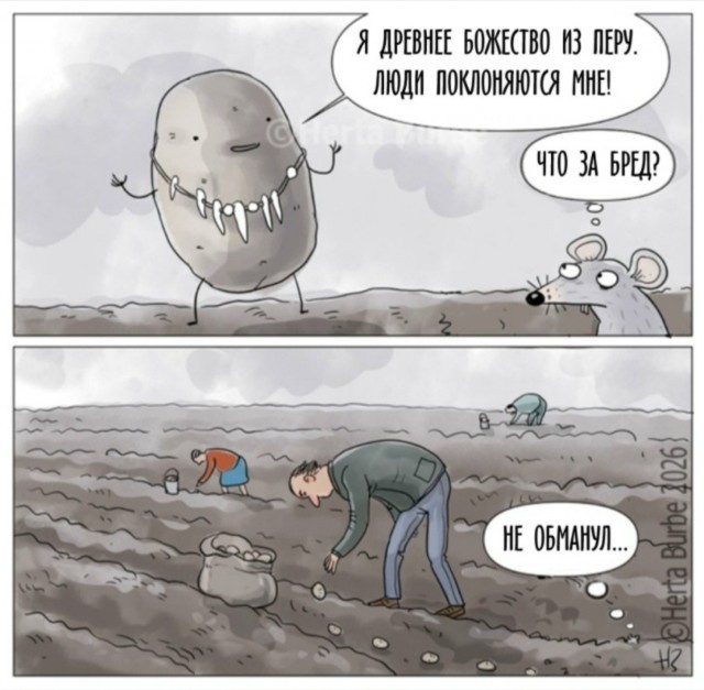 Картинки без критики