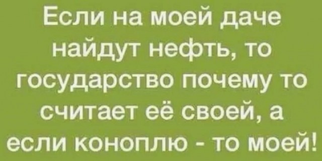 Фартовый рыбак нашёл чёрную икру и 29 кг осетра на берегу в Хабаровском крае