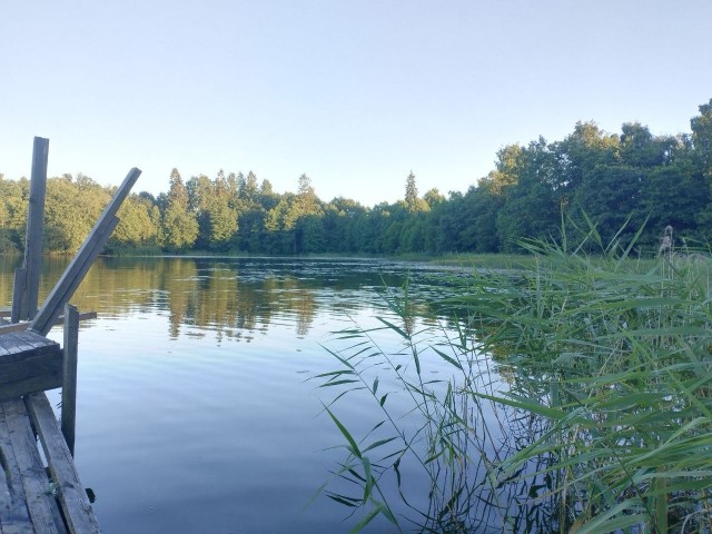 Хорошо в деревне летом