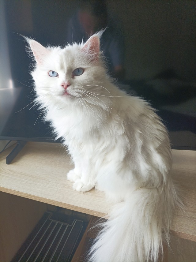 ДНК-тест