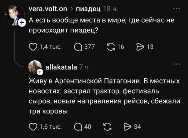 Три коровы на тракторе поехали новым маршрутом на фестиваль сыров