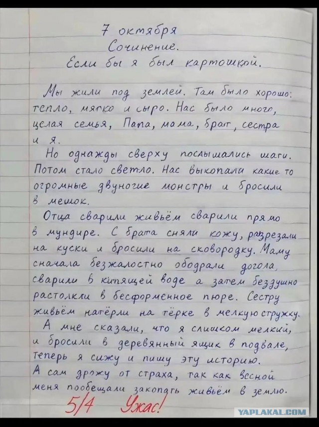 *БАЯН*Жизнь картошки.