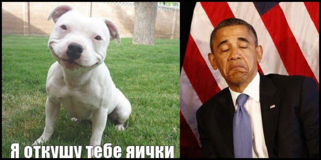 Белый дом потребовал от Януковича вывести войска