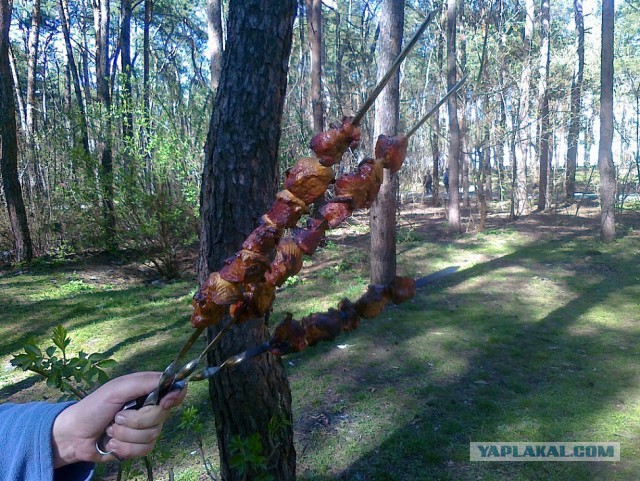 Сезон открыт!