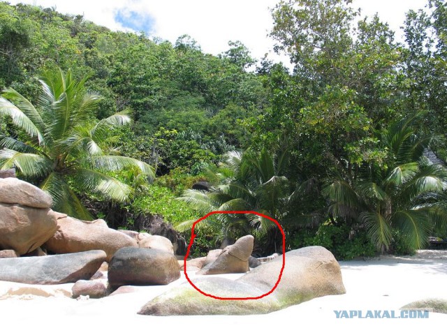 Как я съездил на Сейшелы