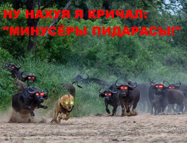 Когда вы плюсуeтe тему в платине