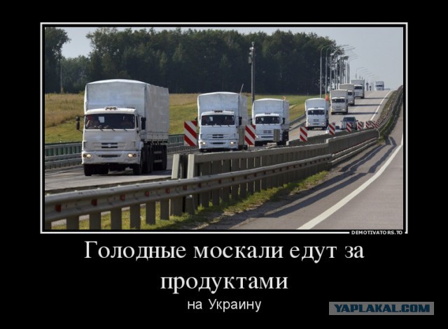 Россия на пороге голода))
