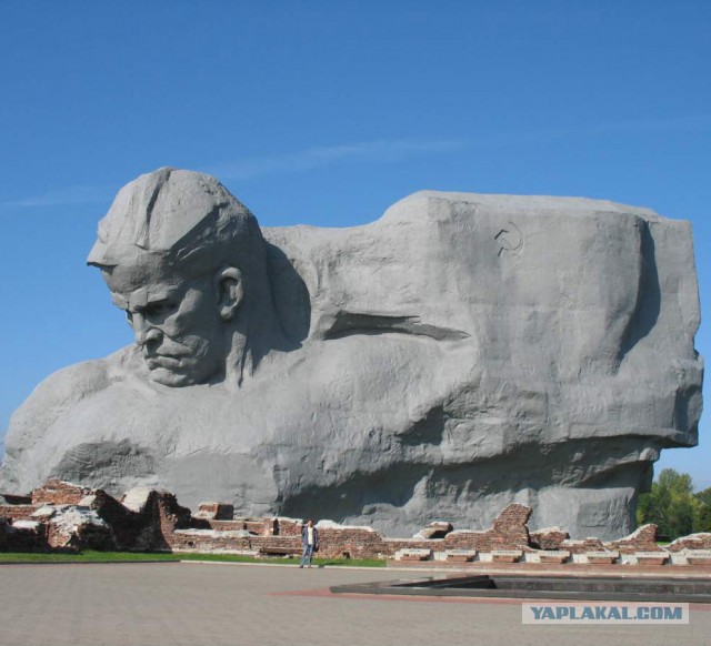 Сравним дам