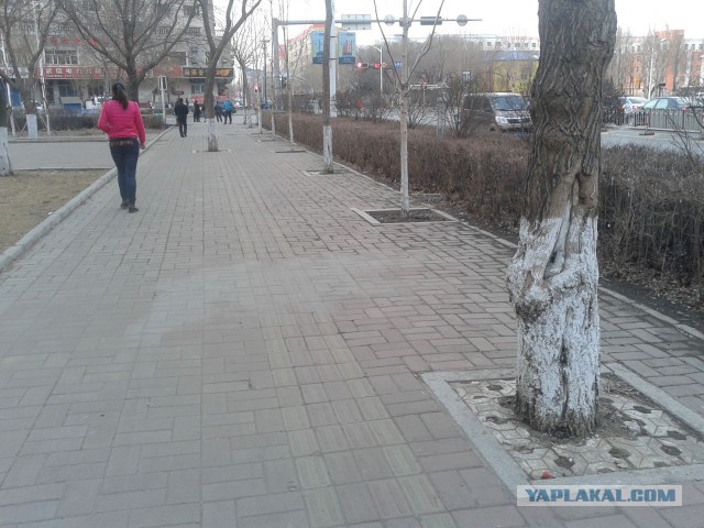 Харбин фотоотчёт о поездке