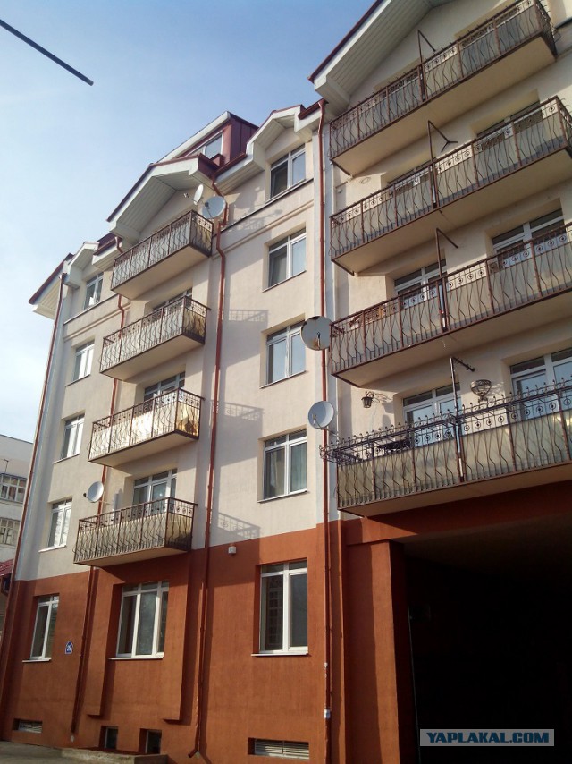 Миграция московского планктона