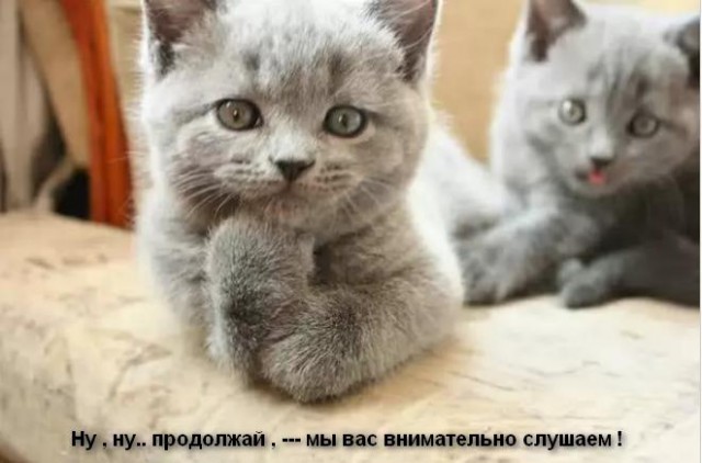 Не русские - о русских и не русских