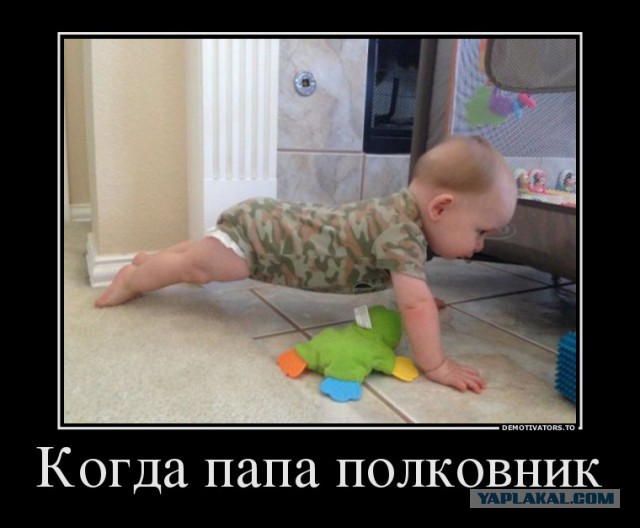 В чем разница между мамой и папой
