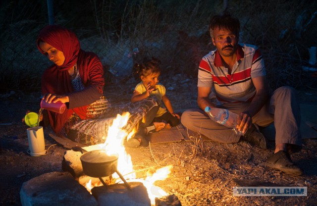 Райская Греция стала адом для мигрантов