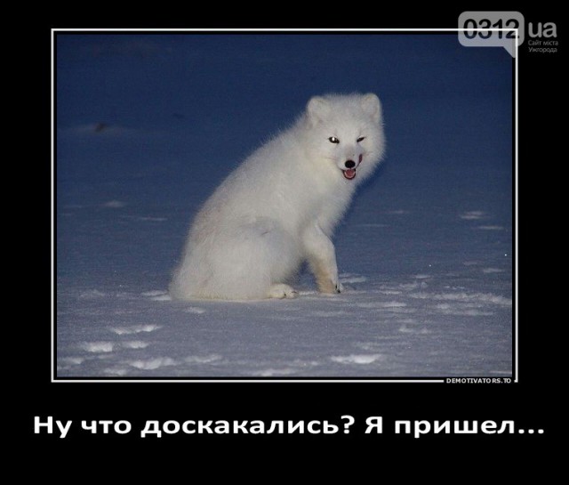 Придётся ползти на коленях к Путину -
