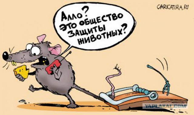 Покупка машины, скоро в суде москвы, трейлер