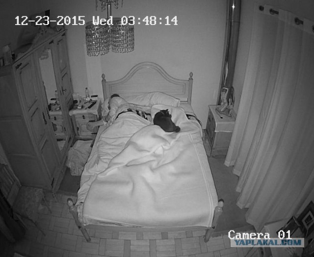 За что я люблю китайцев