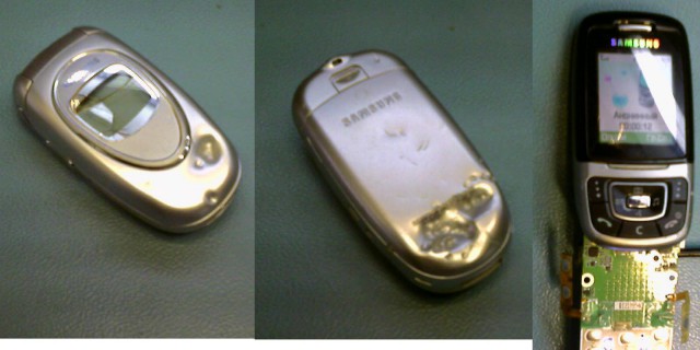 Так выглядит бессмертие