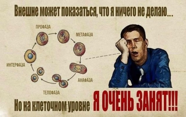 Подборка интересных и смешных картинок