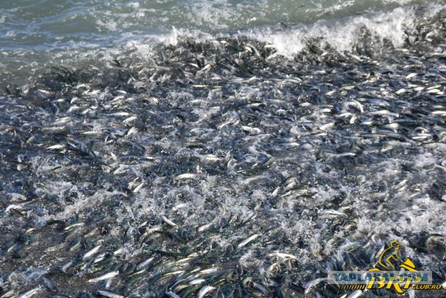 Магадан, старые и новые фотки