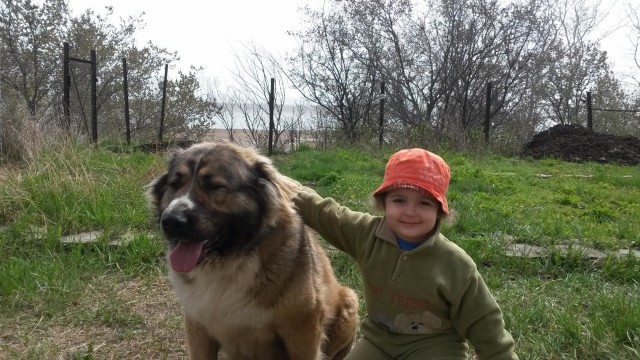А также их родителям...