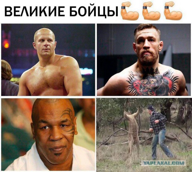 Картинки всяко-разные