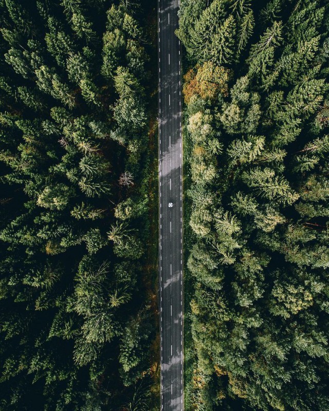Фото интересные и не только