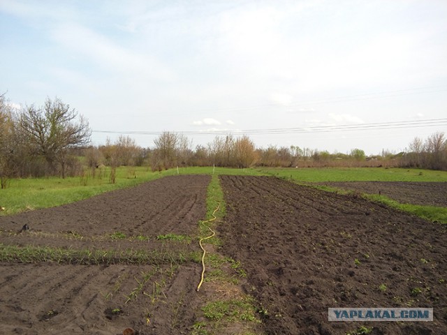 Про "хобби" родителей - пенсионеров