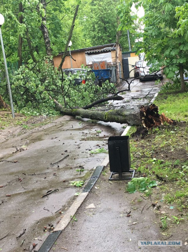 В Москве ураган!
