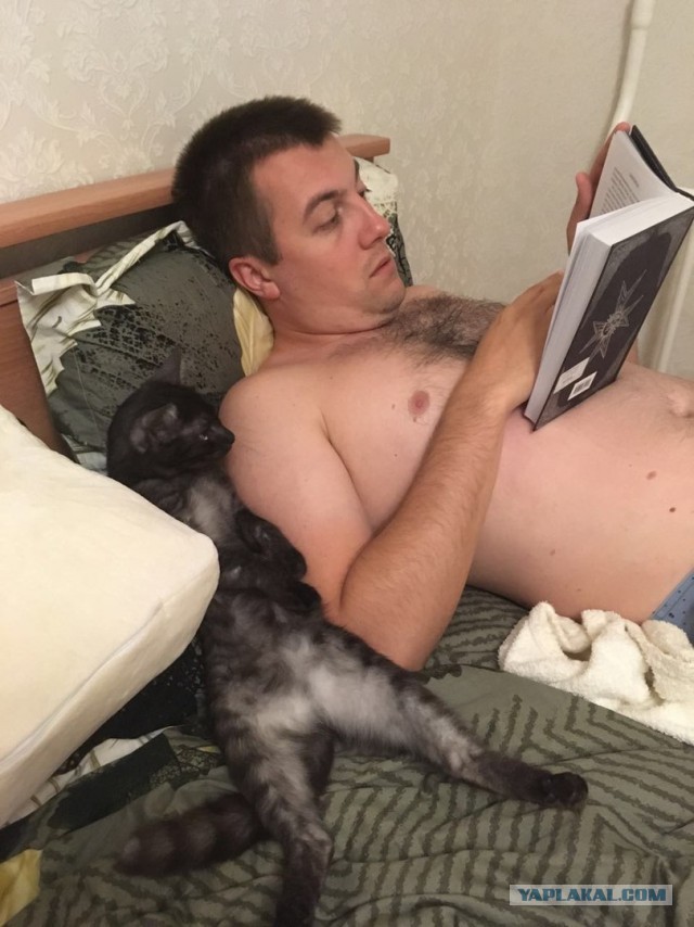 Котовторник 20.06.2017