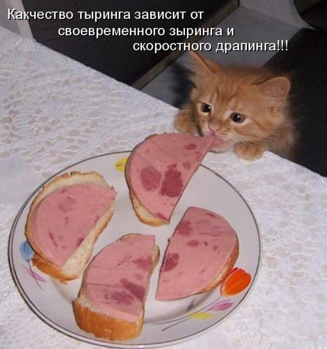 Криминальная сводка недели