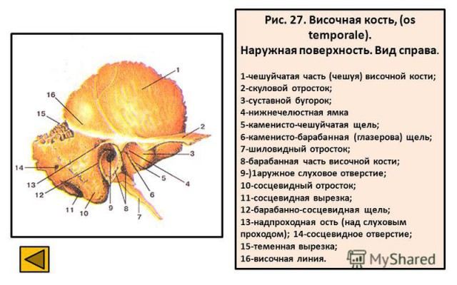 Просто рисунок на школьной доске