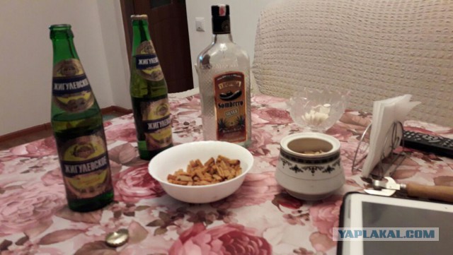 Мифы о пиве из порошка