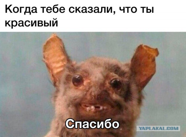 Приколы в стиле "регресс"