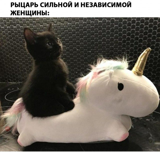 Неадекватные коты