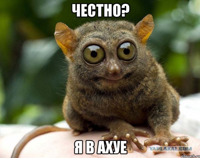 Чемпионат Мира по футболу. Россия 2018 (часть 5)