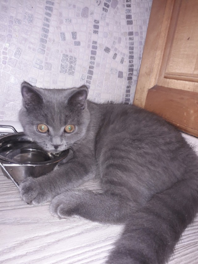 Немного милоты